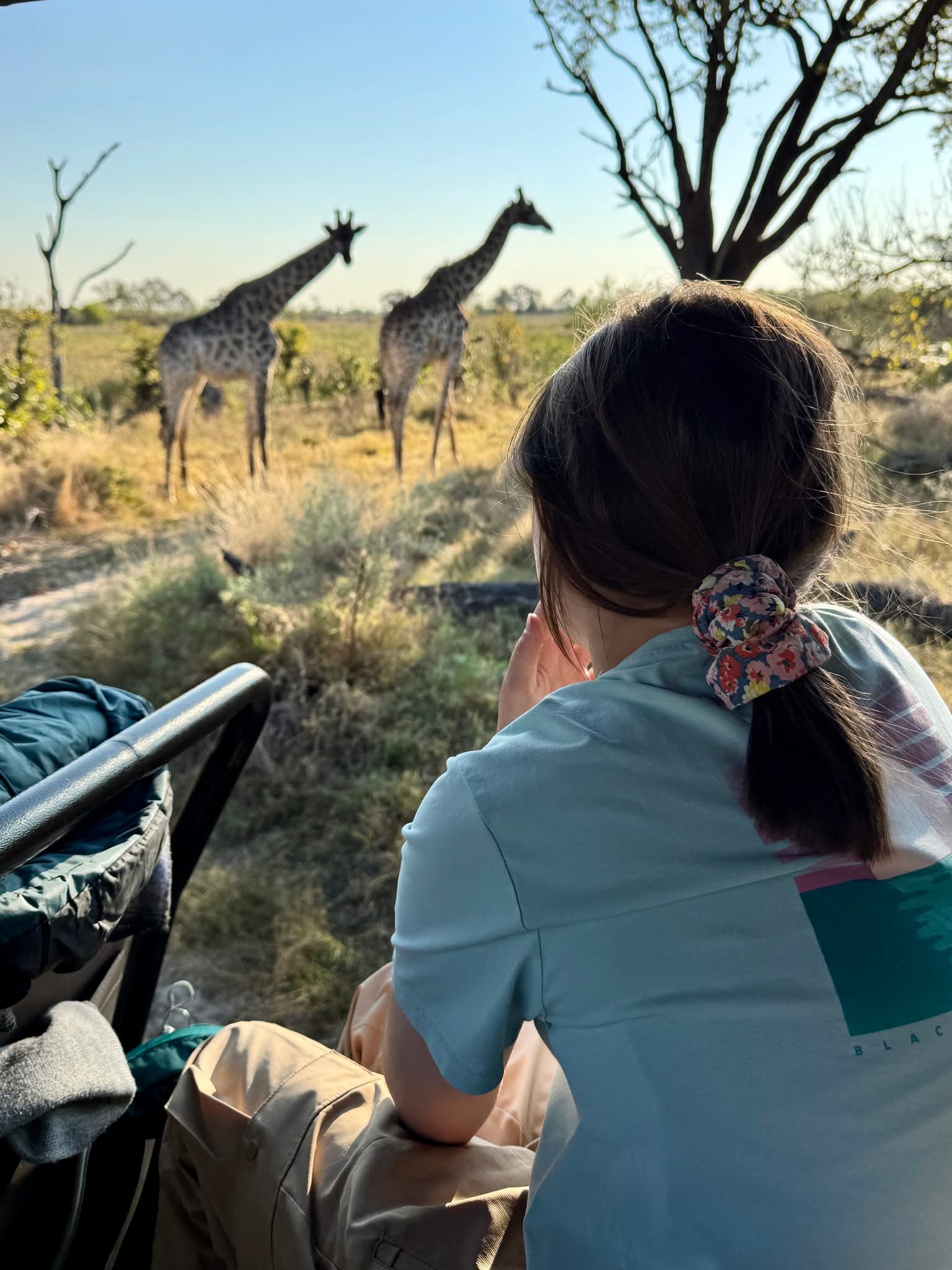 A guest watching giraffes from an open safari vehicle