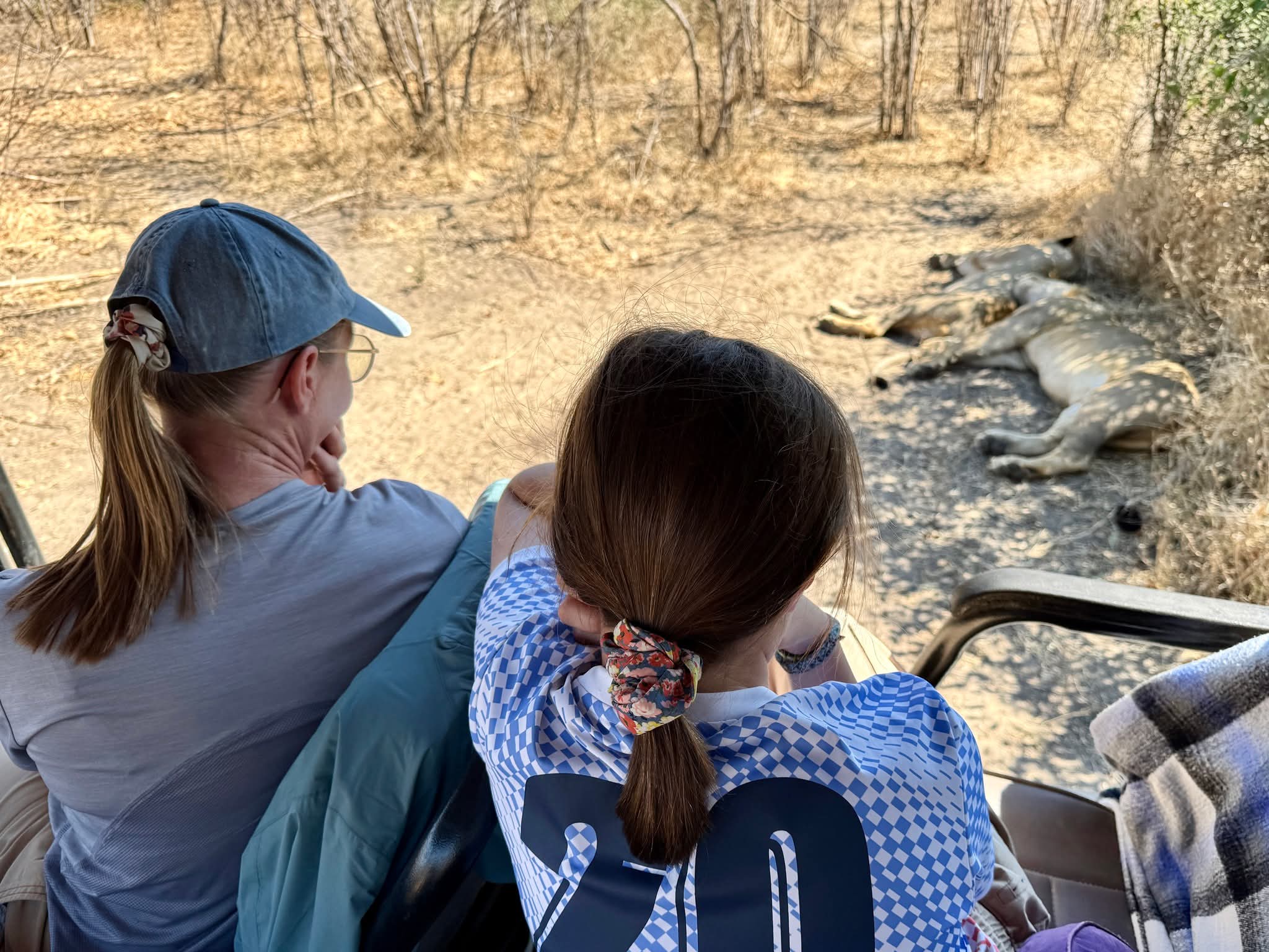 Safari Addicts guests watching a lion pride in Botswana