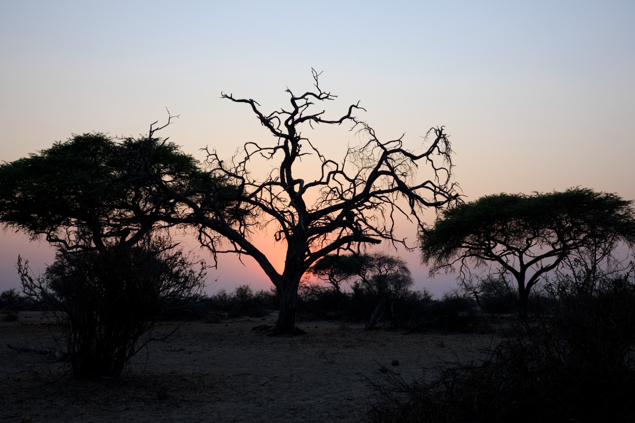 Makgadikgadi Pans National Park safari experience